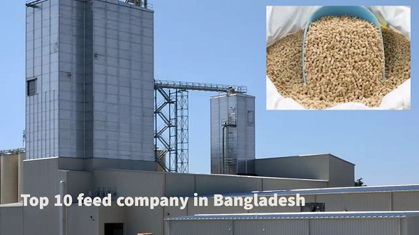 Top 10 Feed Company in Bangladesh 2023