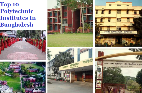 Top 10 Polytechnic Institutes In Bangladesh
