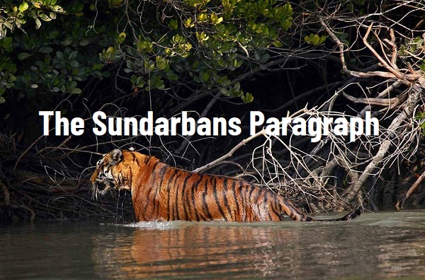 The Sundarbans Paragraph