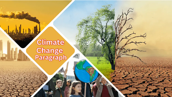 Climate Change Paragraph For Class 7